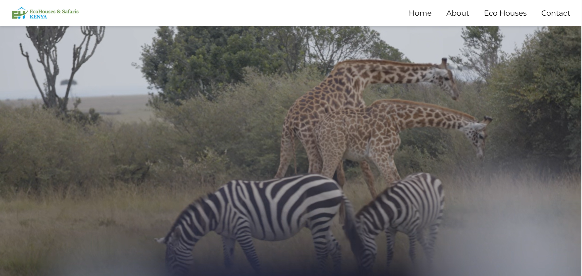 Eco Houses and Safaris hospitality Website